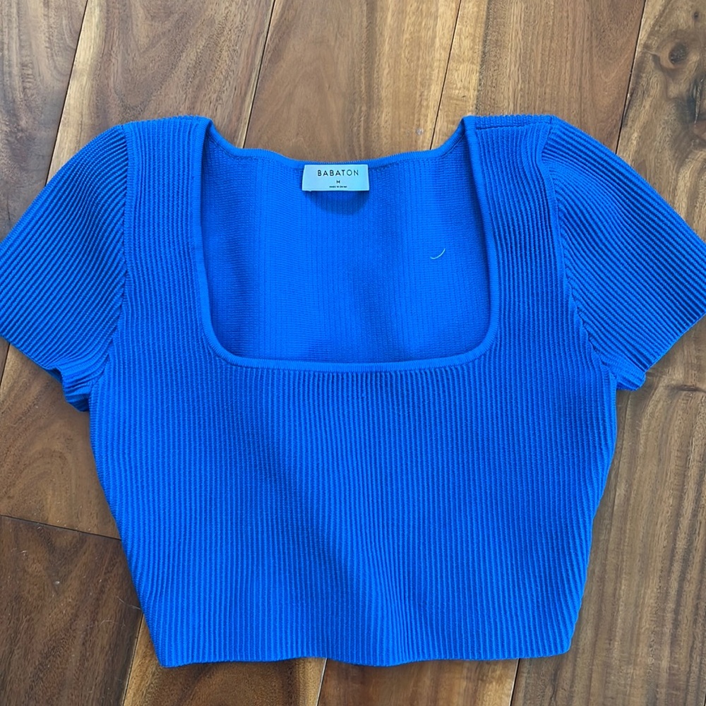Aritzia Babaton sculpt knit top